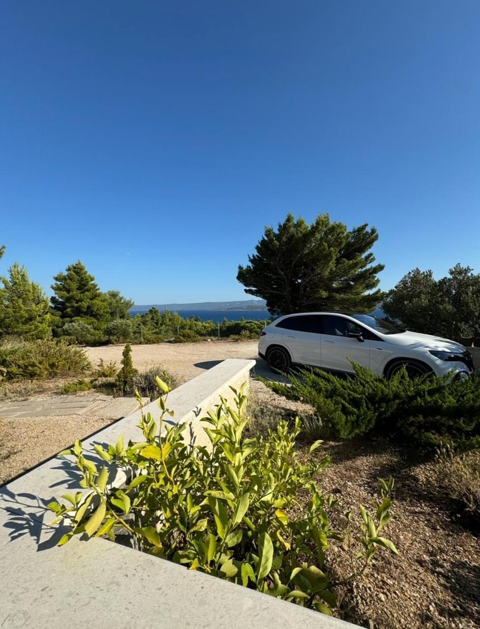 Villa Aurea Palma Bol Eksteriør billede